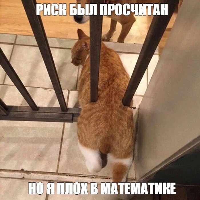      , ,  , , , , , , , , , , , 